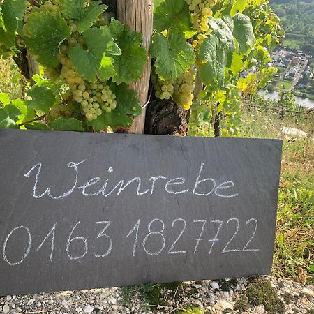 Apartament Weinrebe Bernkastel-Kues Zewnętrze zdjęcie
